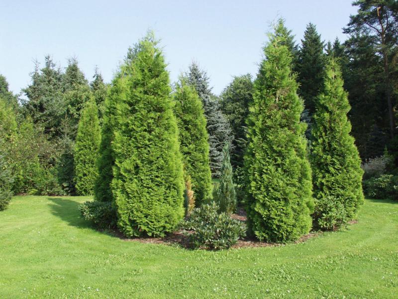 Ferienpark Leitzingen Soltau Exterior photo